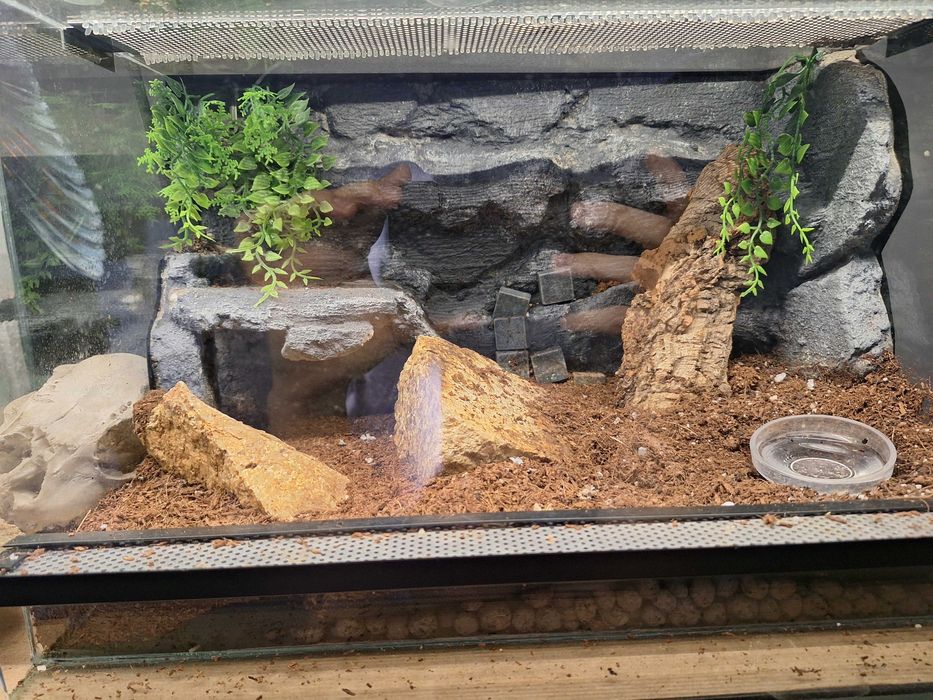 Terrarium szklane dla pająków, gadów / podana cena za 1szt