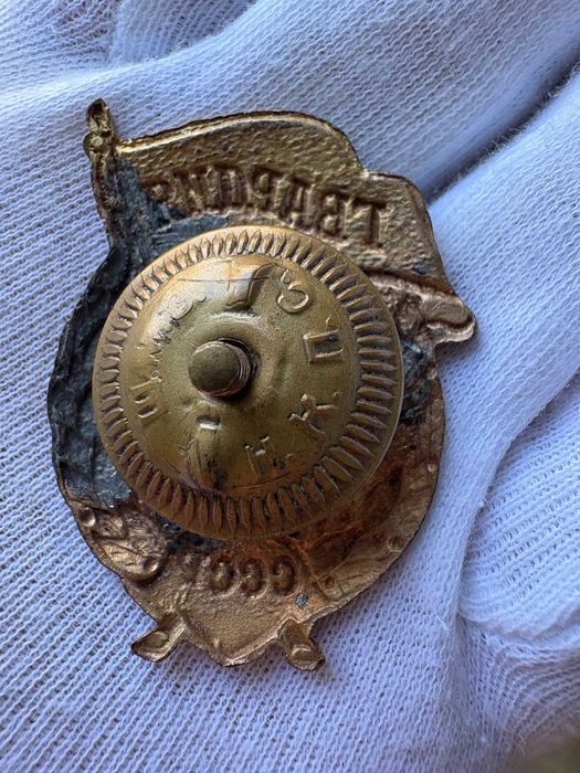 Odznaka napiersiowa „Strażnik” (31)