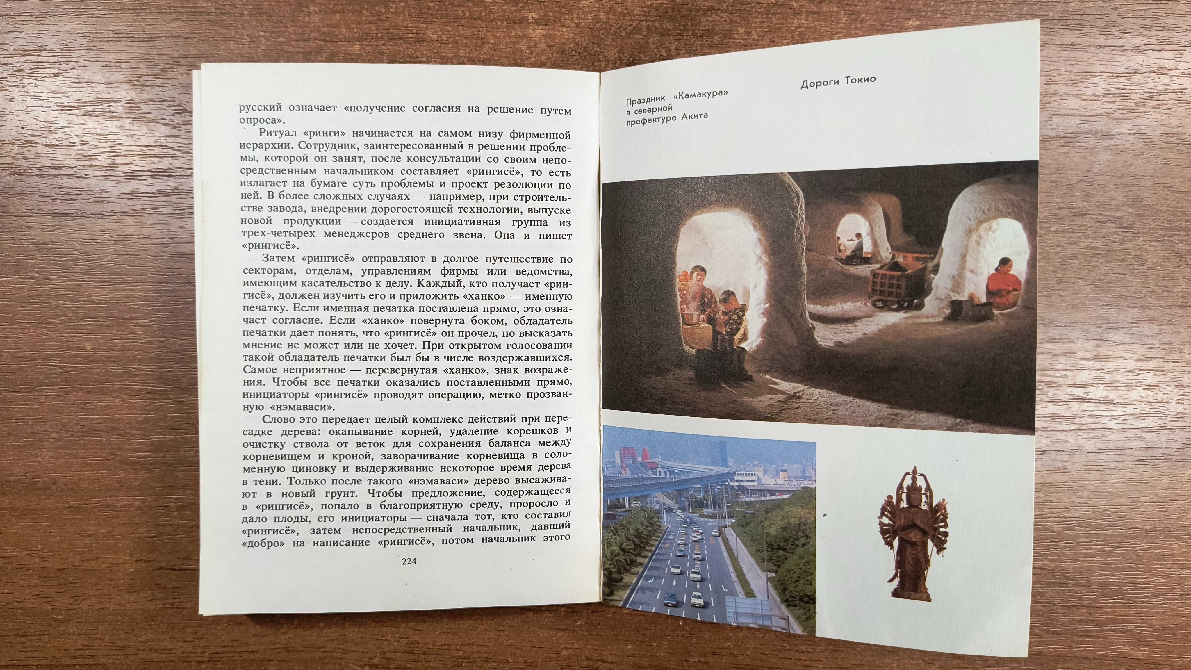 Пятнадцатый камень сада Рёандзи (Владимир Цветов) Япония