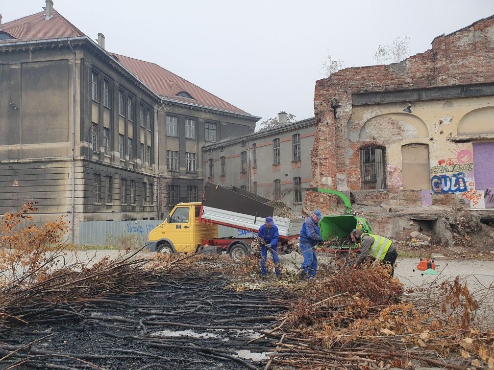 Wynajem Rębaka go gałęzi Rębak usowanie gałęzi utylizacja