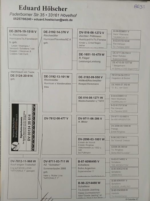 Pombos correios reprodução