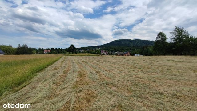 Krajobrazowe Działki z projektem w Trzemeśni!