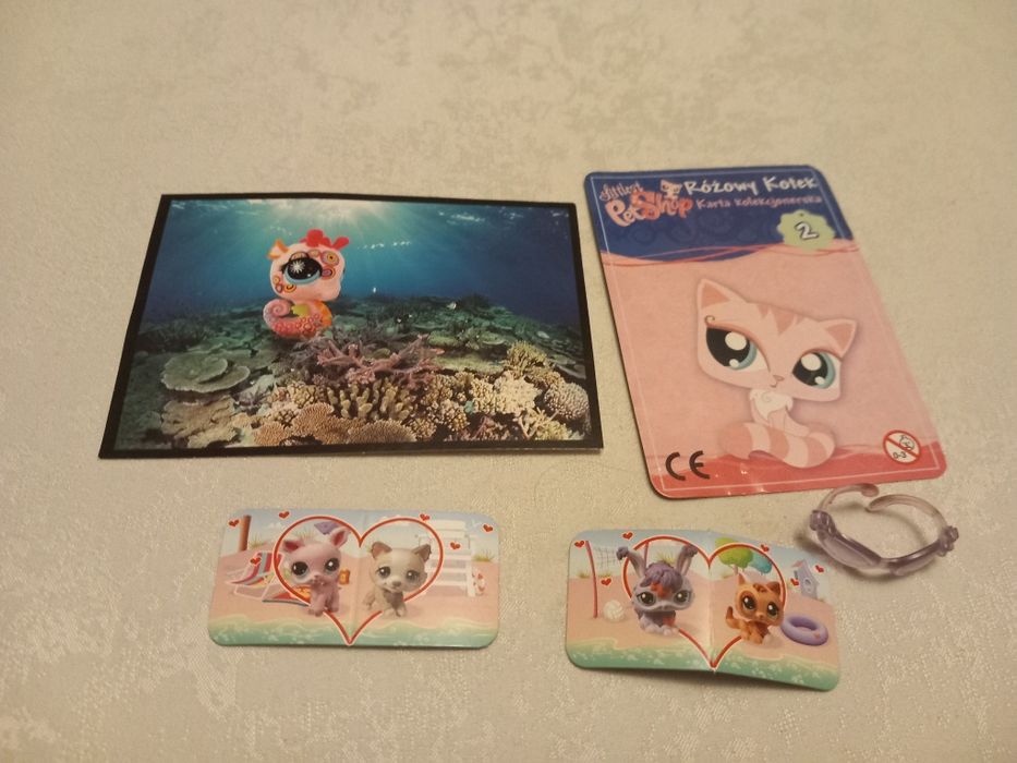 Dodatki petshop na zdjęciu