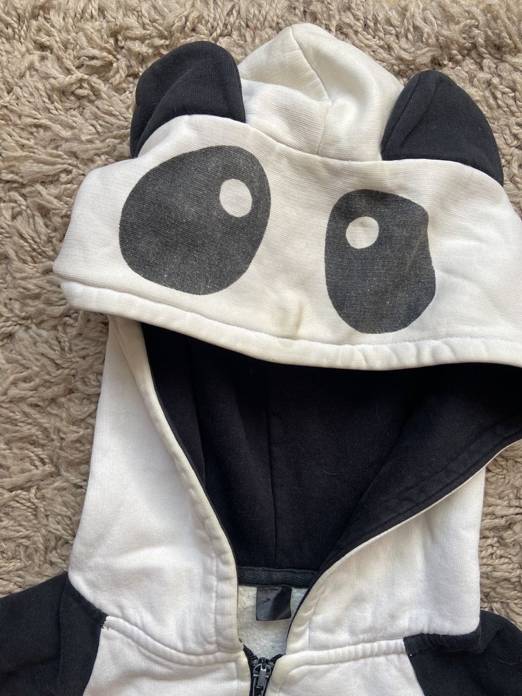 bluza panda mis papercats