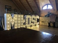 Zestaw Napis Miłość, Neon Miłość, Neon Love cena za wszytko