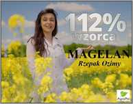 Rzepak Ozimy MAGELAN - Imponujący Plon - Nasiona Rzepaku IGP