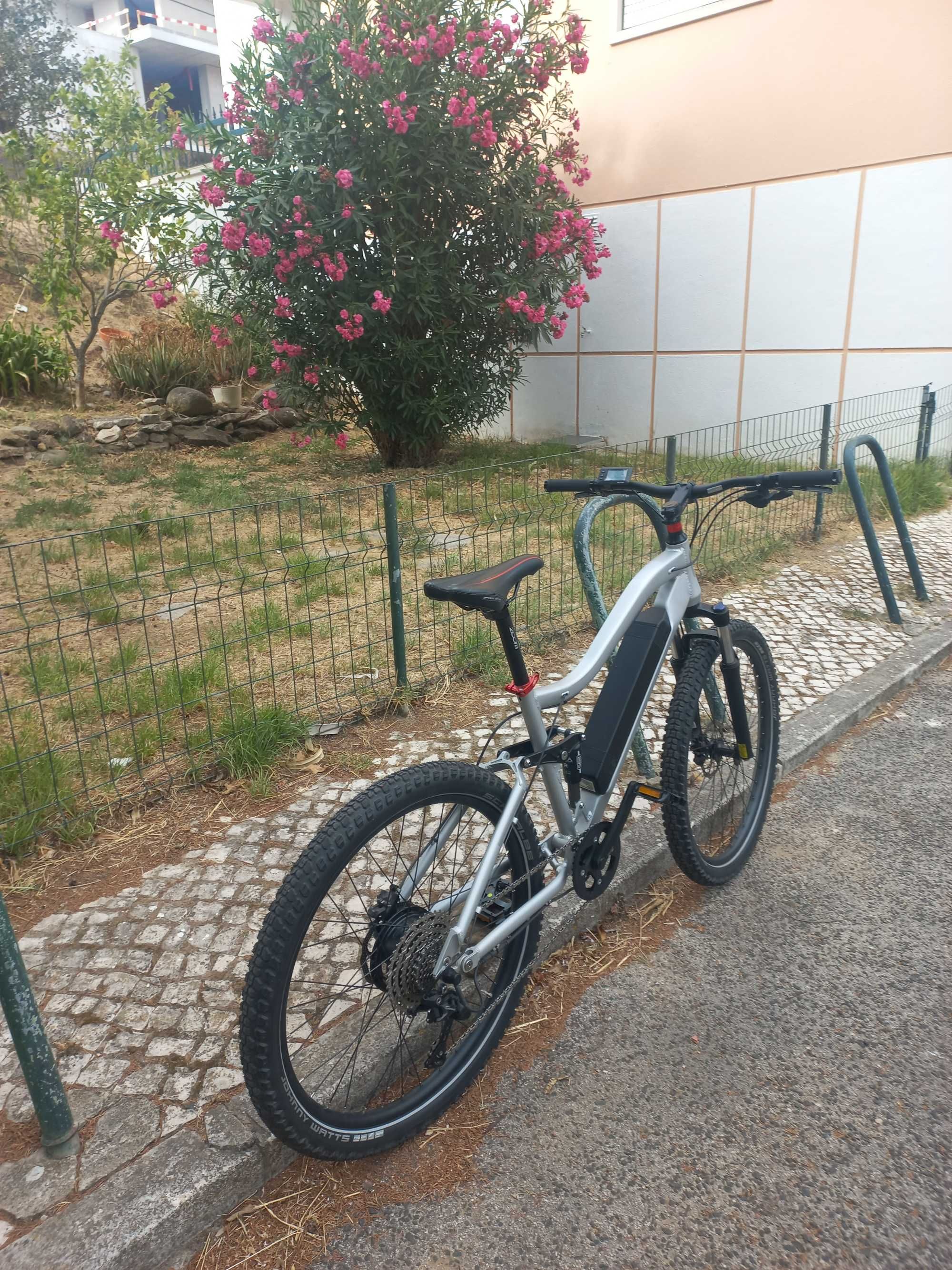 Bicicleta elétrica de montanha ACP