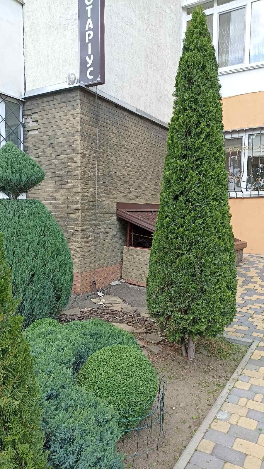 Послуги садівника (плодові, виноград, хвойні, газон) + Консультації.