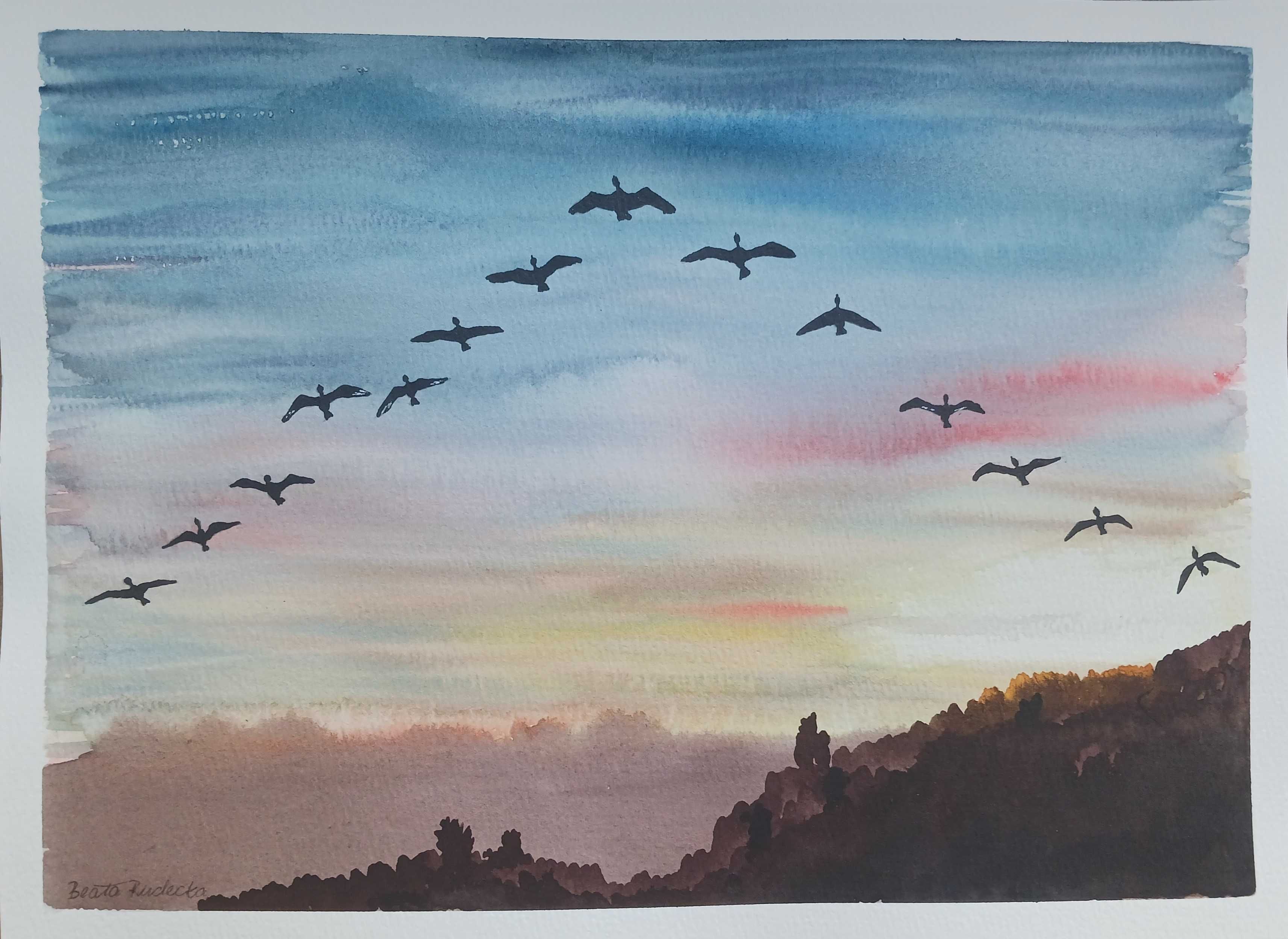 Akwarela Akwarelka Obraz pt. Klucz Gęsi 31 x 23 cm
