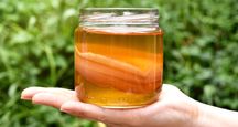 Kombucha / Kombucza- grzybek herbaciany
