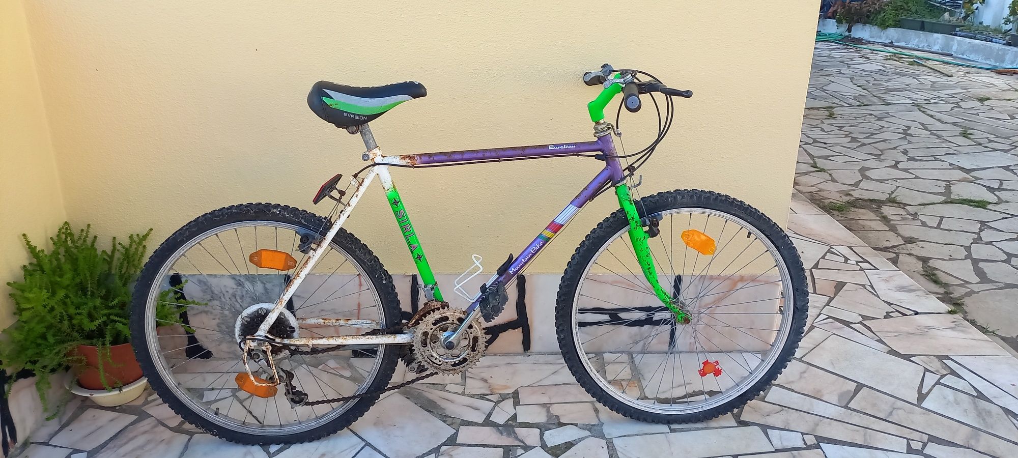 Bicicleta Antiga