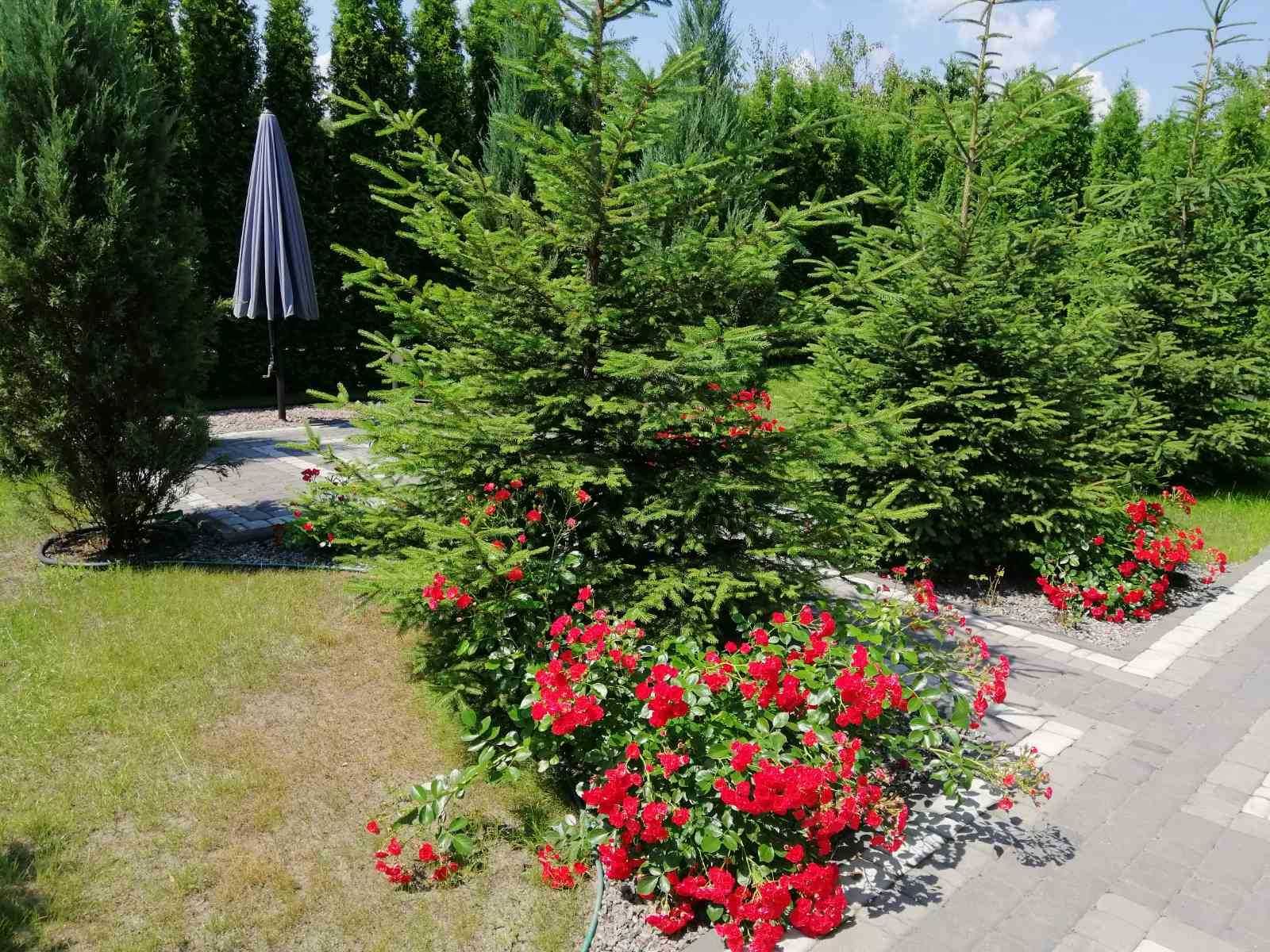 Вишгород  Розкішний 2-х этажний Котедж (250кв.м.) в КГ "Дідовиця"