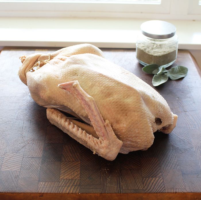 Sprzedam Gesi, Warszawa, Ostroleka i okolice 300zl za sztuke