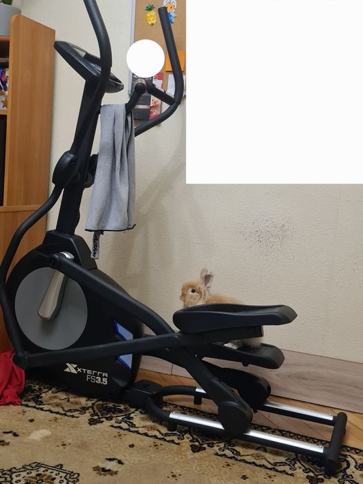 Orbitrek xterra FS 3.5