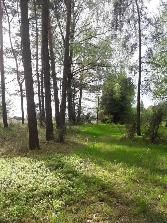 Mały Domek słomiany na urlop blisko lasu