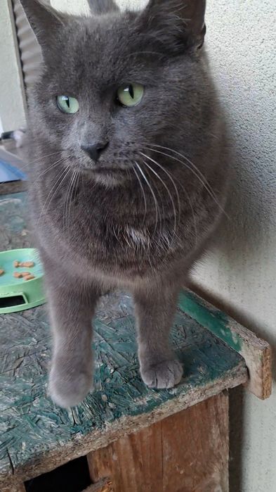 Kto widział Florka?