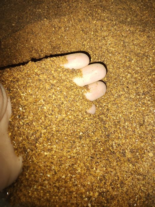 DDGS Kukurydziany, Śruta Sojowa, Śruta Rzepakowa