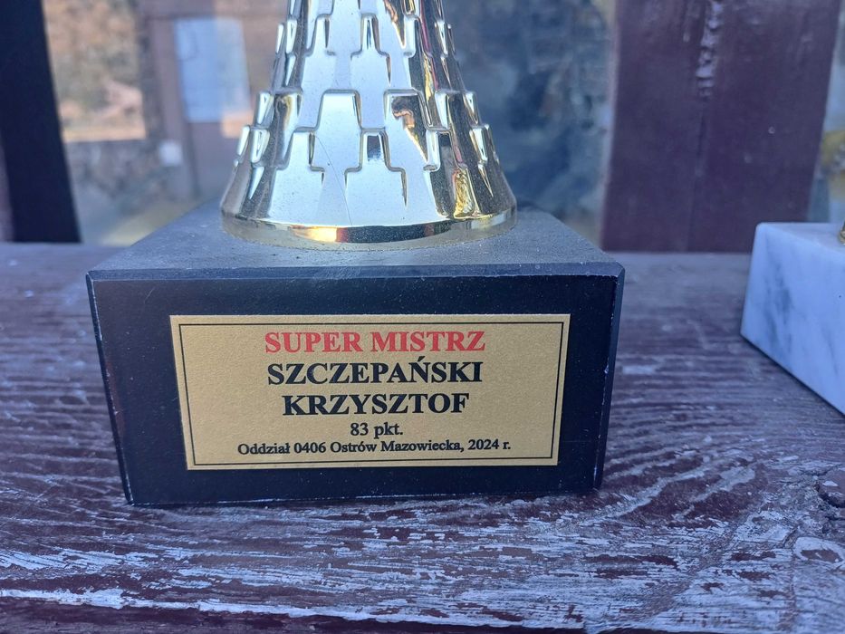 Gołebie pocztowe Mistrz