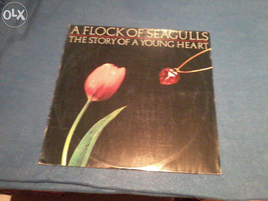 A Flock Of Seagulls - Vinil