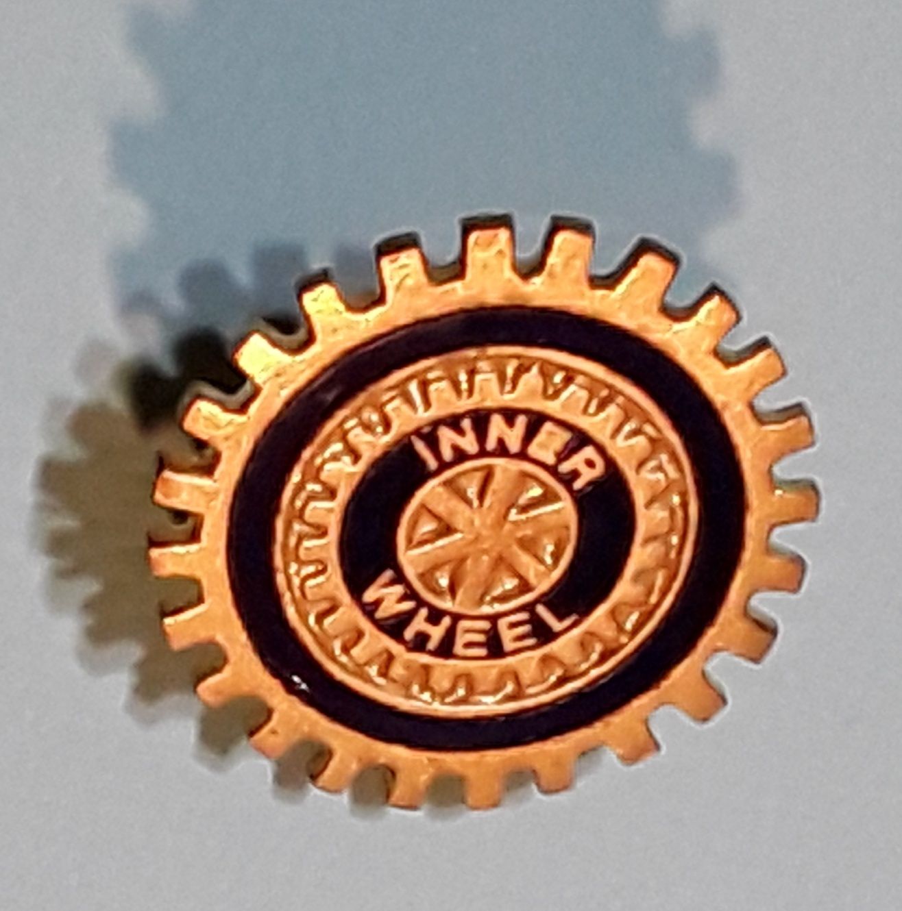 Conjunto medalha em bronze e pin Rotary International com caixa