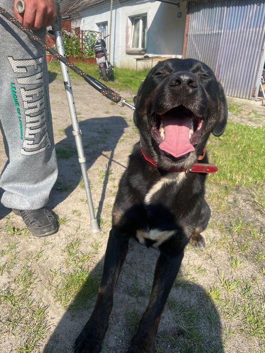 Weź mnie do domu i pokochaj!