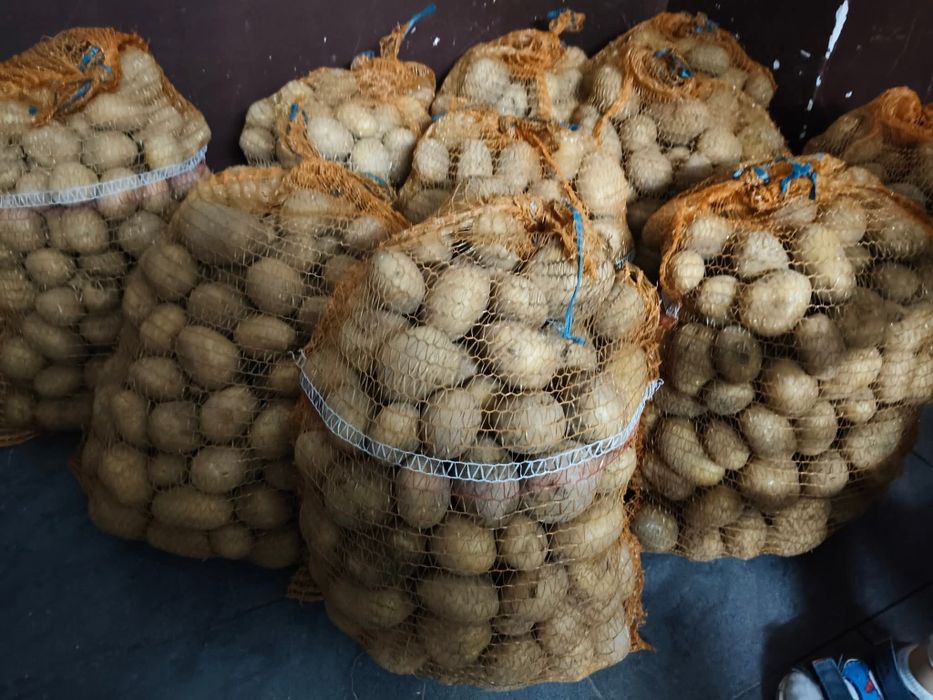 Ziemniaki denary z dostawą do domu od rolnika