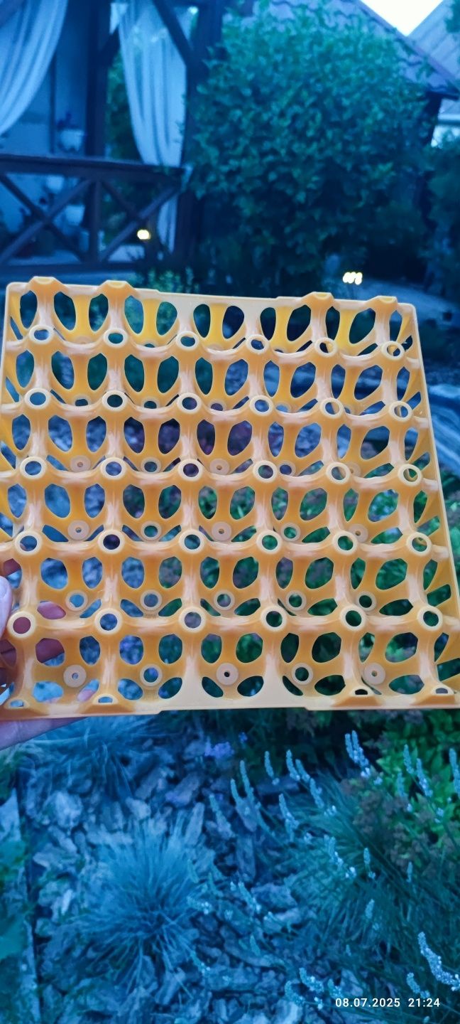 Лотки для яєць пластикові