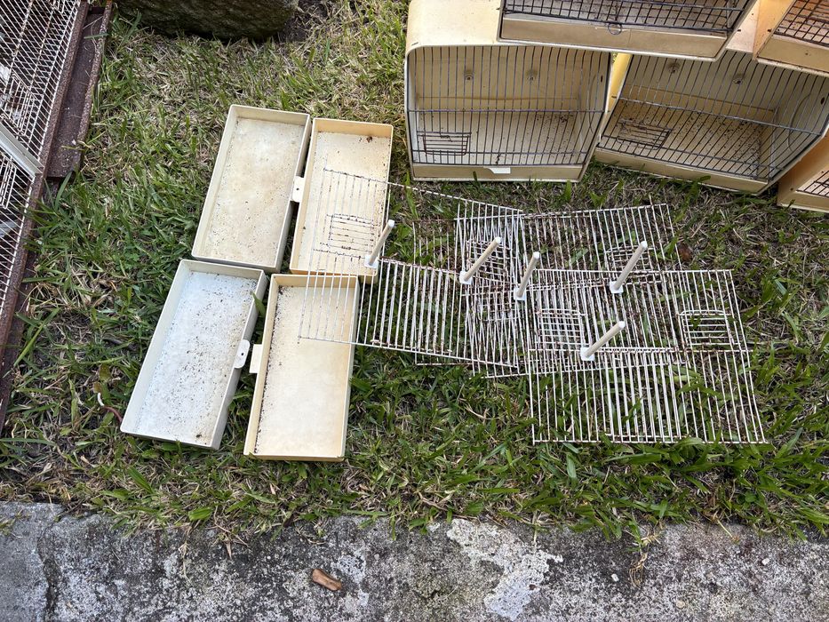 Doze gaiolas de exposição para pássaro