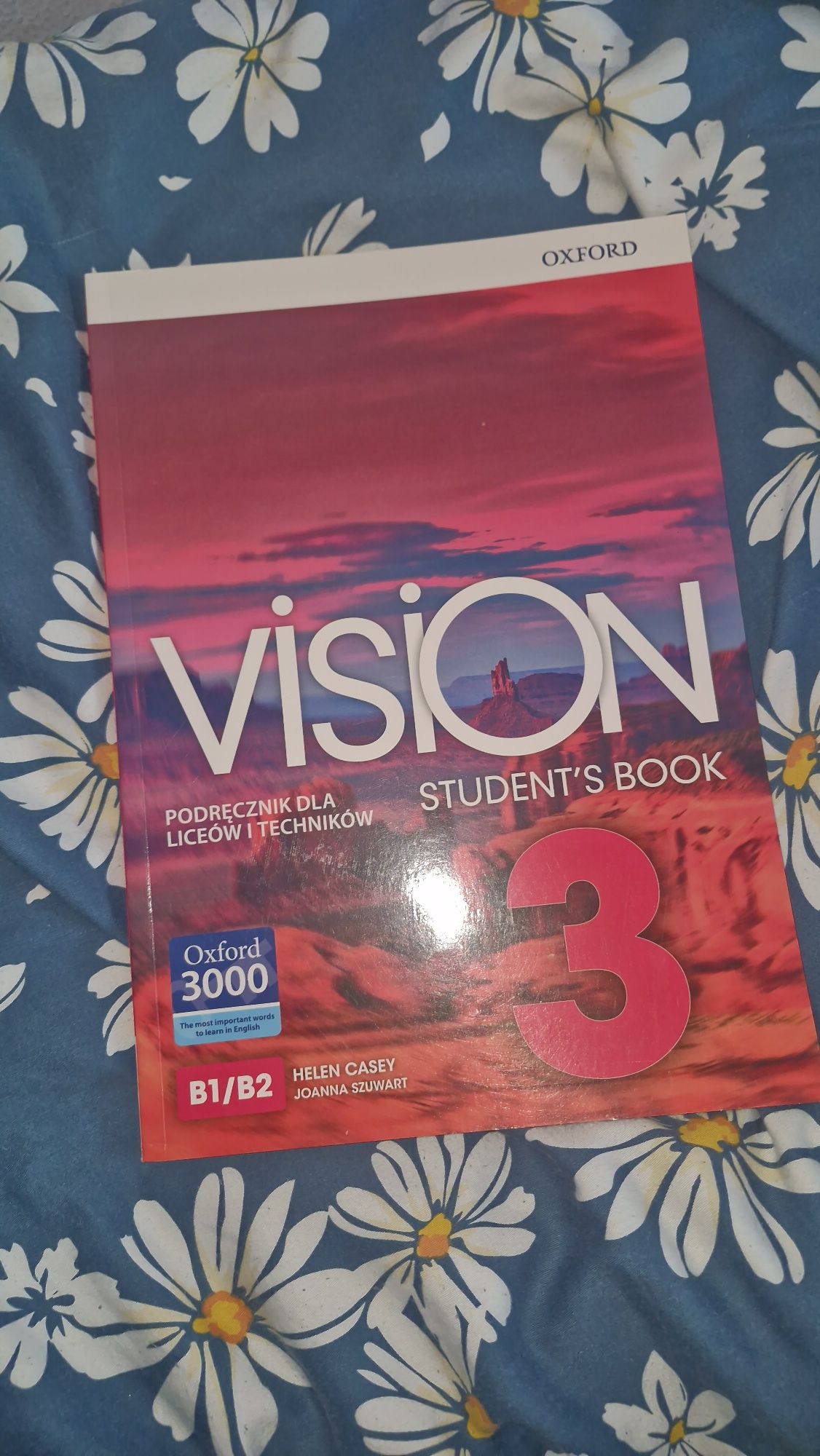 Podręcznik Vision 3