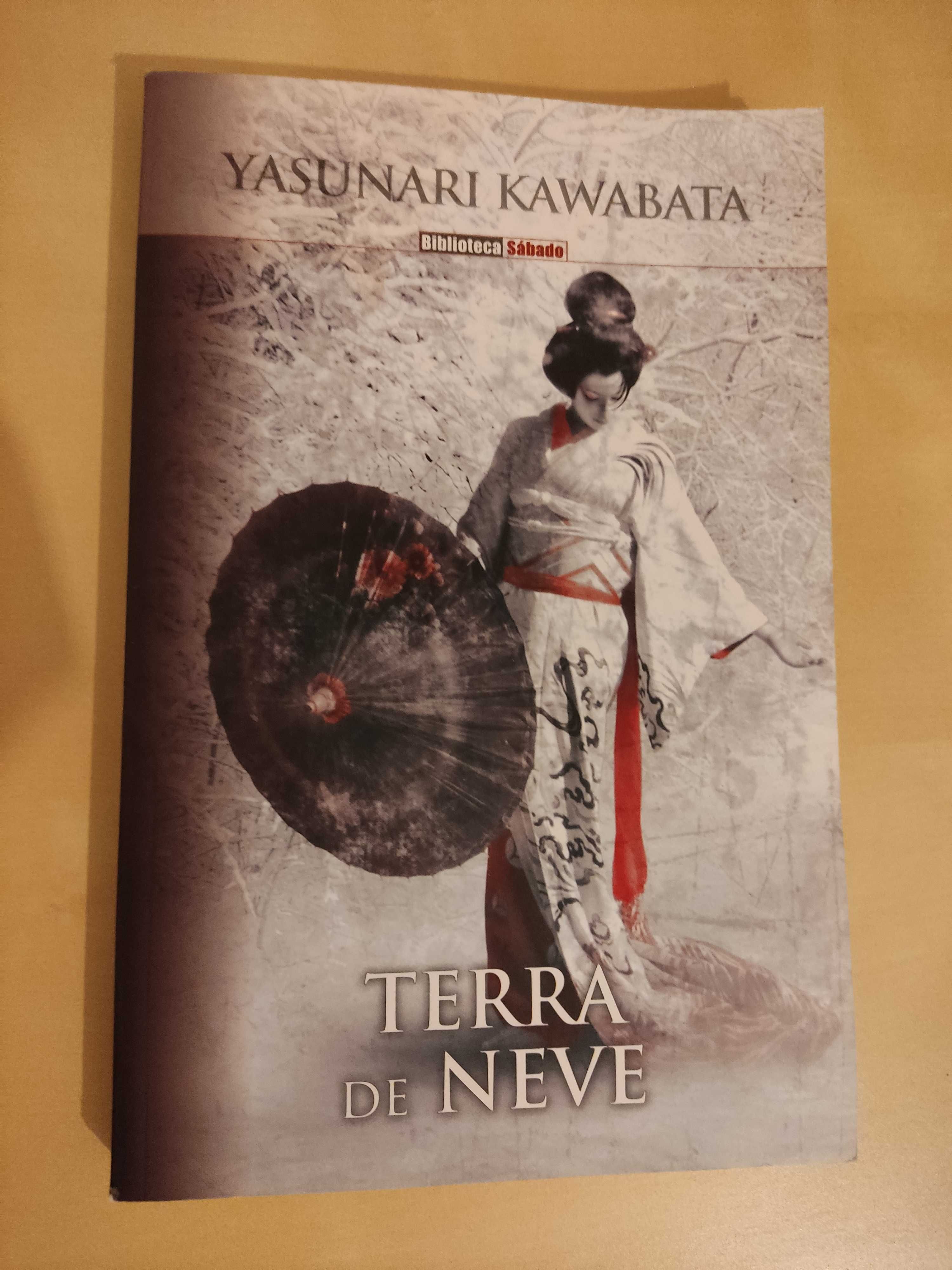 Terra de Neve - Yasunari Kawabata