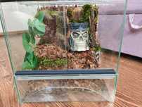 Terrarium  30x30