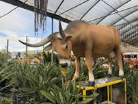 Vacas, tourinas, vitelas | Fibra | Tamanho Real | Animal