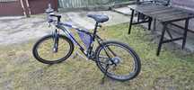 Sprzedam Rower wheeler pr 900 proride.
