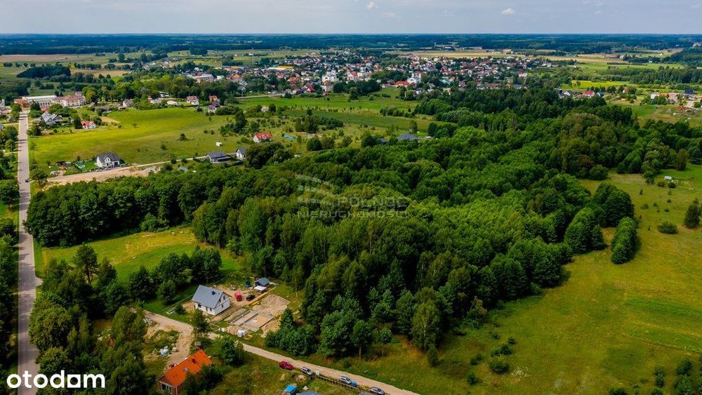 Duża działka z lasem i Wz na dom