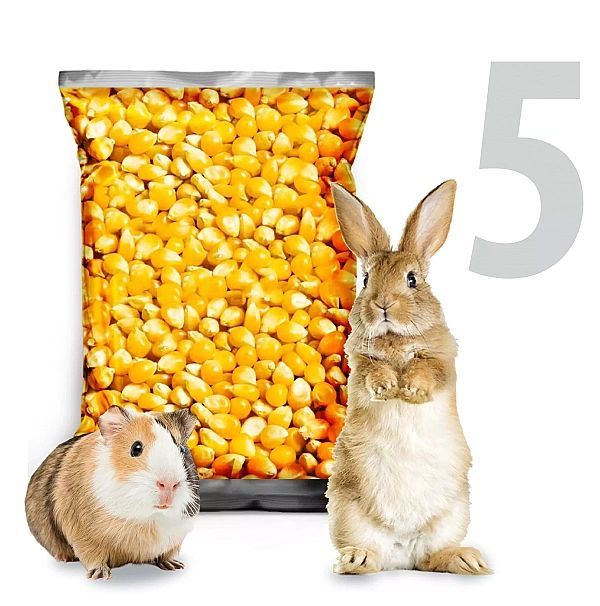 5kg Kukurydza żółta ziarno karma pasza dla gryzoni królików całe drobn