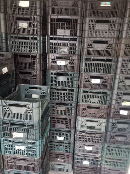 Skrzynki casi  platikowe