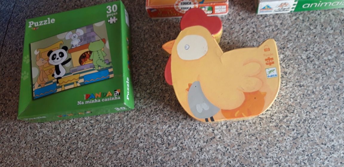 Conjunto de Puzzles Didácticos Criança