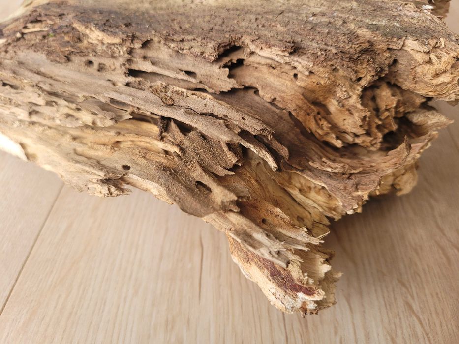 naturalny korzeń 30 / 15 cm do akwarium terrarium klatki gekon agama