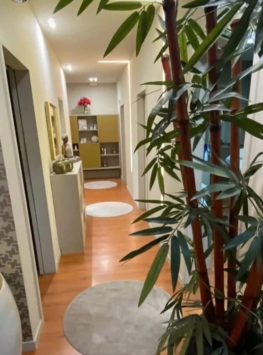 Aluguer de sala de estética