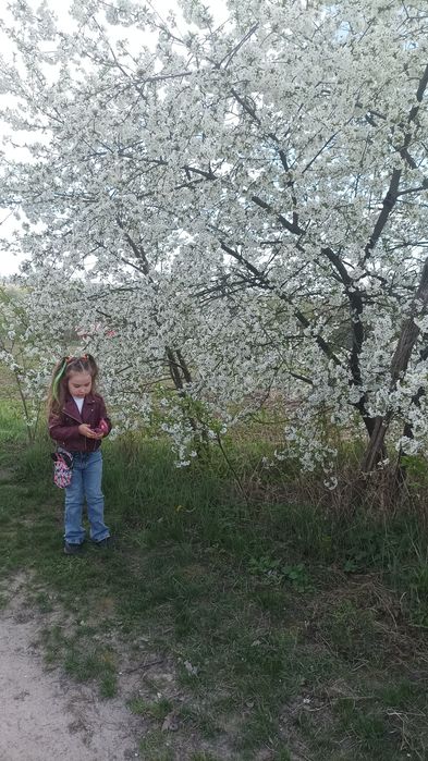 Моднв Джинси, набір джинсів , 110 см, штани, штанішки