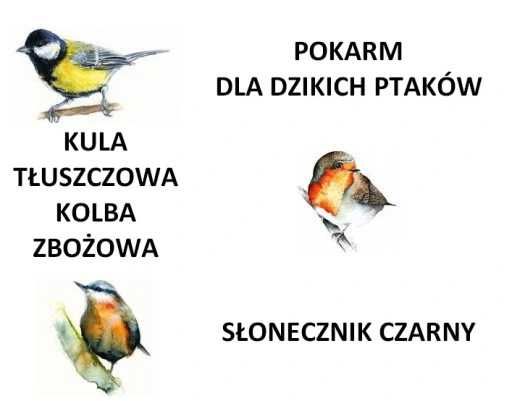 Mieszanka dla średnich ptaków Brapta 0,5 kg karma dla ptaków