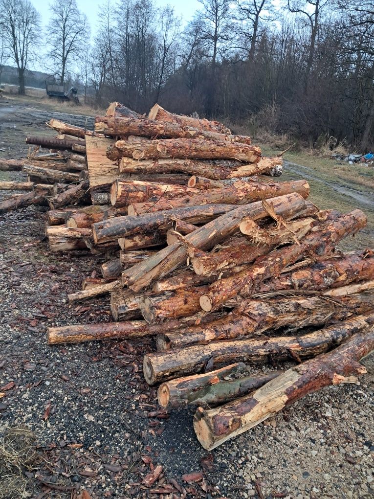 Drewno opałowe sosna