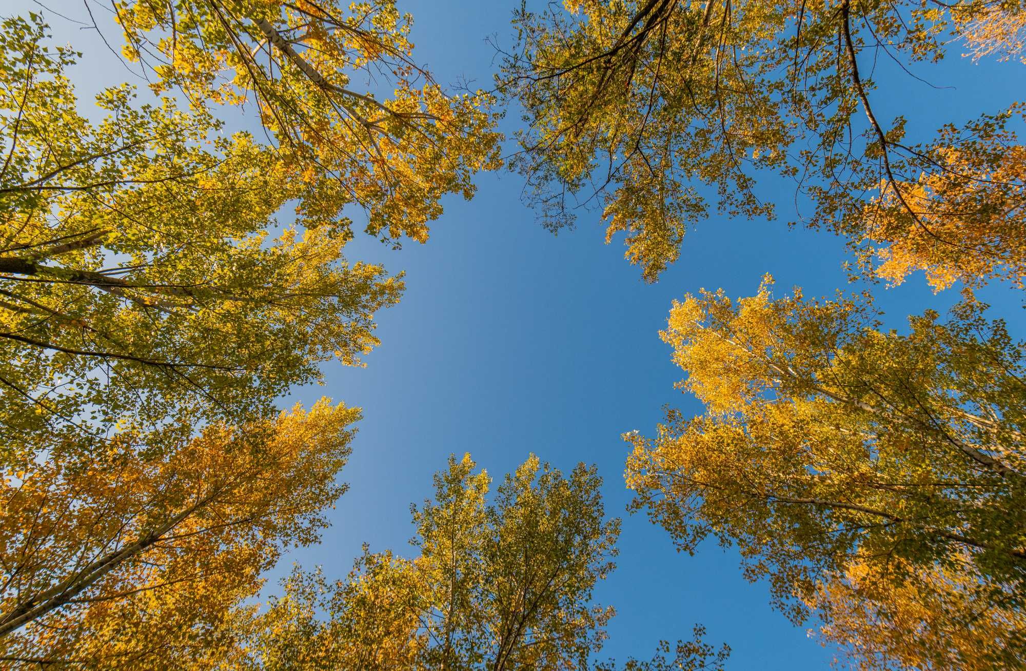 Nikkor AF-S 16-35mm f/4 G ED VR