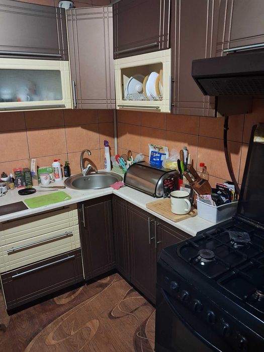 Продам будинок в смт Новомиколаївка (з/станція Верхньодніпровськ)