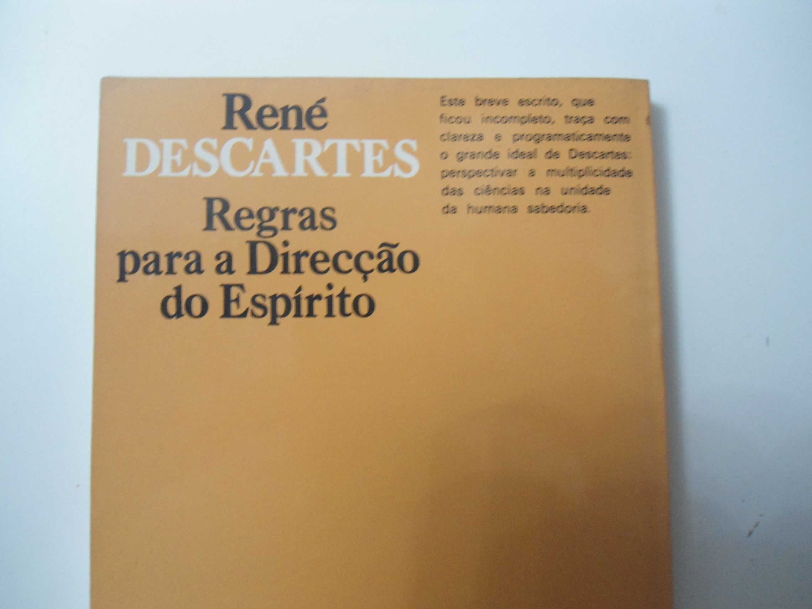 Regras para a direção do espírito - René Descartes