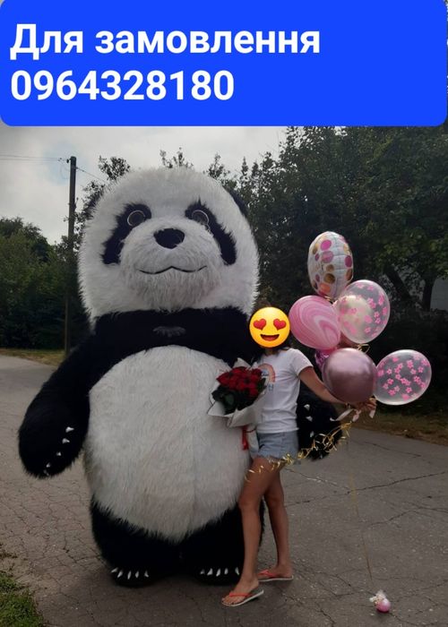 Мишка,панда,поздравление,ведмідь,вітання,білий,стриптизер,пес Патрон,