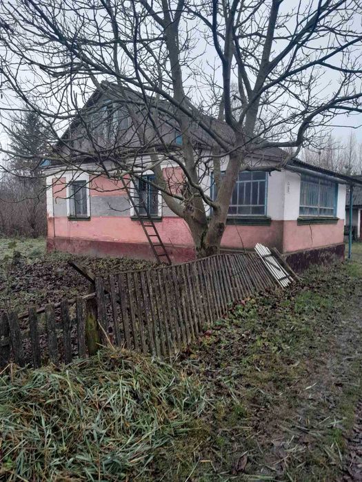 Продам будинок с. Нападівка Кременецький р-н. Тернопільська область.