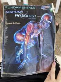 Fundamentals of Anatomy and Physiology, 3rd (3rd Edition)