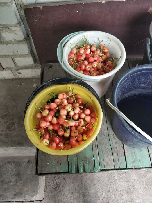 Дача с.Вільне СТ Мрія