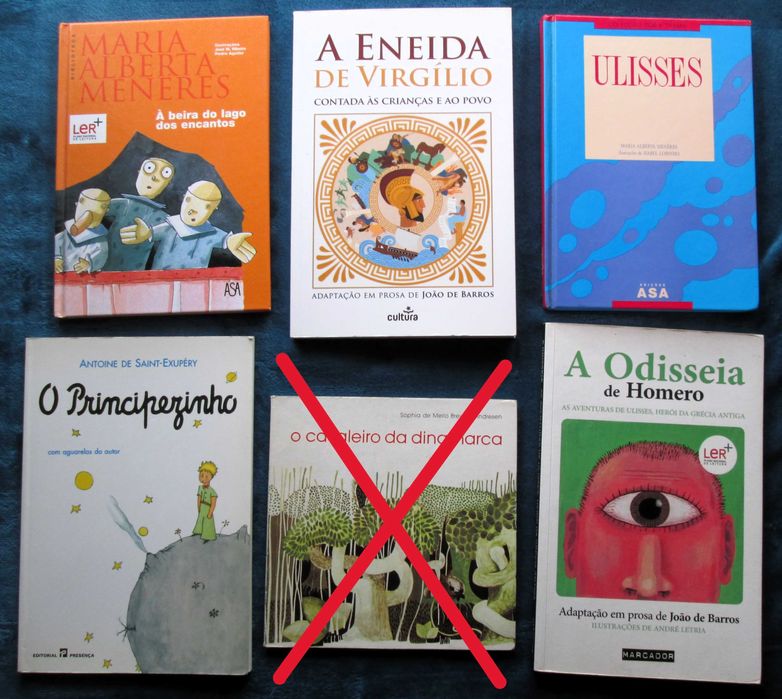 Metas Curriculares + Plano Nacional Leitura